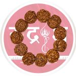 4 mukhi rudraksha bracelet