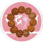 6 mukhi rudraksha bracelet