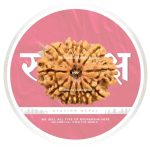 11 mukhi
