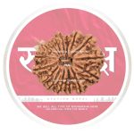 16 mukhi