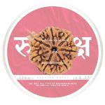 7 mukhi