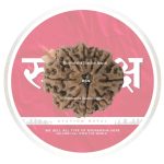 9 mukhi