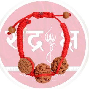 Health Bandh Kavach (3mukhi -2pieces & 5 mukhi)