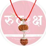 salary increase rudraksha 7 & 13 mukhi